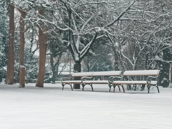 Born living yoga : naissance d'une passion pour le yoga et méditation